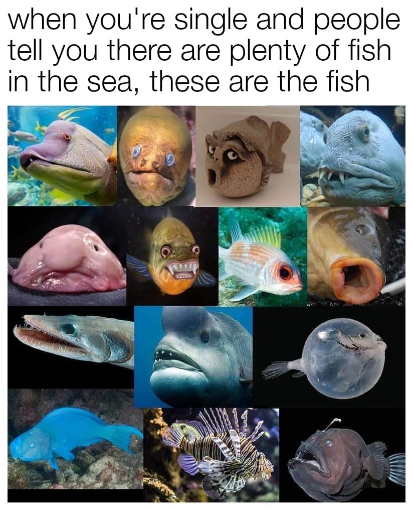 plenty-of-fish